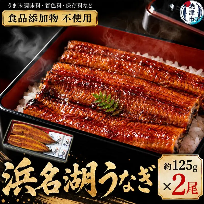 浜名湖うなぎ蒲焼2尾 (a15-609)