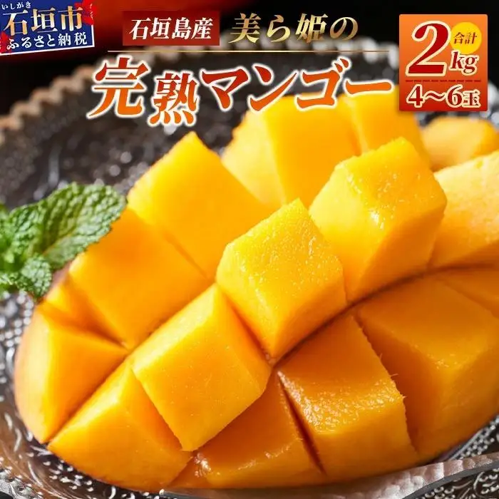［予約受付］美ら姫マンゴー2kg（完熟・アーウィン種）CB-2