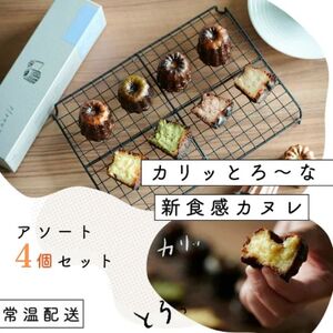 【カリッとろ～な新食感 カヌレ】セトレのカヌレ 4種4個セット 「プレーン 抹茶 ラズベリー コーヒー」 SETRE Canele　選べるラベルカラー お菓子 おやつ スイーツ ティータイム コーヒーブレイク  エンジ