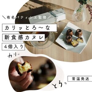 カヌレセトレのカヌレプレーンSETREカヌレ【4個】【常温】