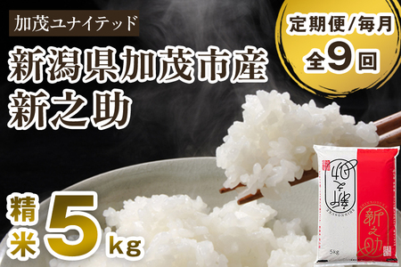 【令和8年産新米先行予約】【定期便9ヶ月毎月お届け】新潟県産 新之助 精米5kg（5kg×1袋）《10月上旬から順次出荷》