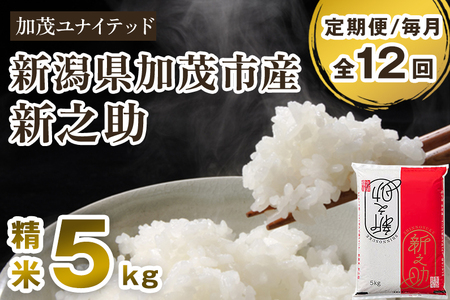 【令和8年産新米先行予約】【定期便12ヶ月毎月お届け】新潟県産 新之助 精米5kg（5kg×1袋）《10月上旬から順次出荷》