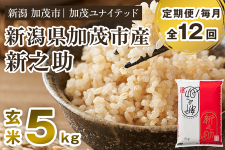 【令和8年産新米先行予約】【定期便12ヶ月毎月お届け】新潟県産 新之助 玄米5kg（5kg×1袋）《10月上旬から順次出荷》