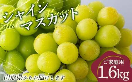 FYN9-914 ≪2026年先行予約≫ご家庭用 山形県 シャインマスカット約1.6kg(2～4房) 2026年9月上旬から順次発送 種なしぶどう 葡萄 ブドウ マスカット 果物 くだもの フルーツ 秋果実 産地直送 訳あり ワケアリ 自宅用 家庭用 農家 農業者 支援品 山形県 西川町 月山