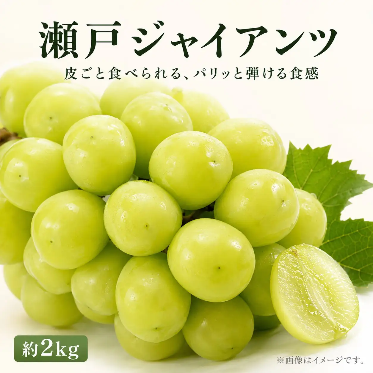 紀州かつらぎ山の瀬戸ジャイアンツ 約2kg ※2027年8月下旬頃〜9月中旬頃に順次発送予定(お届け日指定不可) / ぶどう ジャイアンツ フルーツ 果物 くだもの 【uot793A】