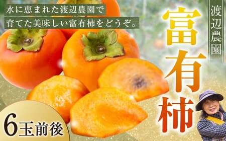 【先行予約】渡辺農園 富有柿 6玉前後 2026年11月下旬から12月上旬 出荷予定
