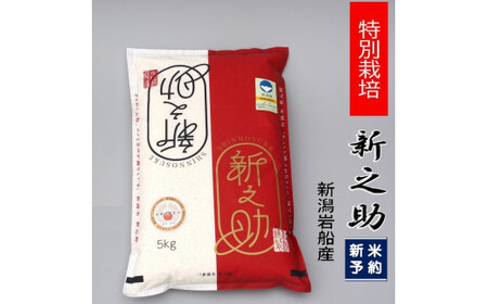 【新米受付・令和8年産米】　新潟県村上市岩船産  特別栽培 新之助 5kg 1039009N ｜ 食味鑑定士謹製 新耕農産 白米 一等米 プレミアム米 ツヤツヤ 農家直送 お米 低温倉庫保管