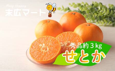 せとか 約 3kg (9~13玉) 【2027年3月上旬ごろから発送予定】 せとか みかん【SHM0111】