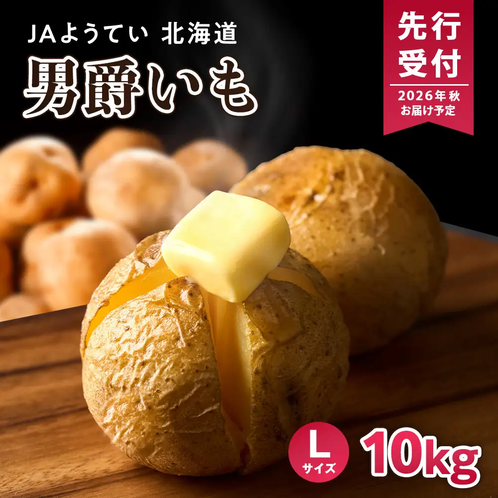 【2026年秋発送 先行予約】じゃがいも 馬鈴薯（男爵）Ｌサイズ　10kｇ＜JAようてい＞