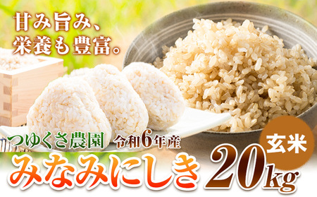 新米 令和6年産 みなみにしき 玄米 20kg 熊本県 荒尾市産 米 玄米 つゆくさ農園 《30日以内に出荷予定(土日祝除く)》 米 こめ コメ 玄米 米 美味しい米 お米 熊本県産米 くまもと米 st-p