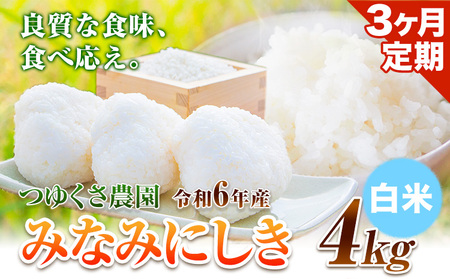 【3ヶ月定期便】新米  令和6年産 みなみにしき 白米 4kg 熊本県 荒尾市産 米 白米 定期 つゆくさ農園 《お申込み月の翌月から出荷開始》 美味しい米 お米 熊本県産米 くまもと米 st-p