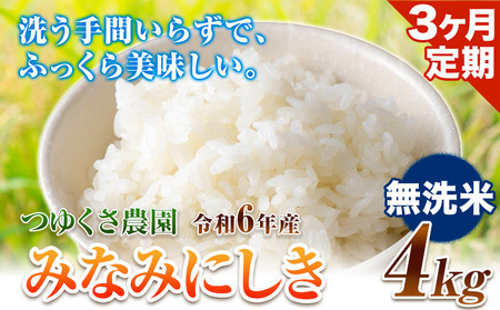 【3ヶ月定期便】新米 令和6年産 みなみにしき 無洗米 4kg 熊本県 荒尾市産 米 無洗米 定期 つゆくさ農園 《お申込み月の翌月から出荷開始》 美味しい米 お米 熊本県産米 くまもと米 st-p