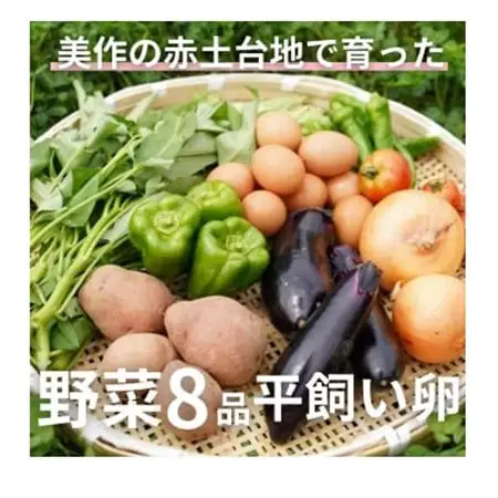 【畑から直送】味覚を育む旬の野菜約8種と自然卵10コ入り_野菜 玉ねぎ  たまねぎ タマネギ  野菜 じゃがいも いも ジャガイモ 馬鈴薯  野菜 さつまいも いも サツマイモ 薩摩芋  野菜  いも イモ 芋  野菜  トマト   野菜 人参 根菜 にんじん ニンジン  野菜 大根 根菜 だいこん ダイコン  野菜 かぼちゃ  カボチャ 南瓜  野菜 茄子  なす ナス  野菜 レタス  _【配送不可地域：離島】【1483988】