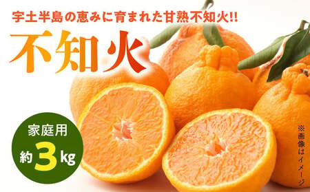 54-14　福島オレンジ農園 【家庭用】おいしい樹成甘熟!!不知火　約3kg_U54-0014