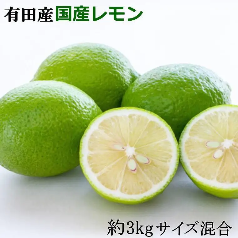 有田産の安心国産レモン約3kg （サイズ混合）※2026年10月中旬〜2027年4月中旬頃に順次発送予定（お届け日指定不可）【tec943A】