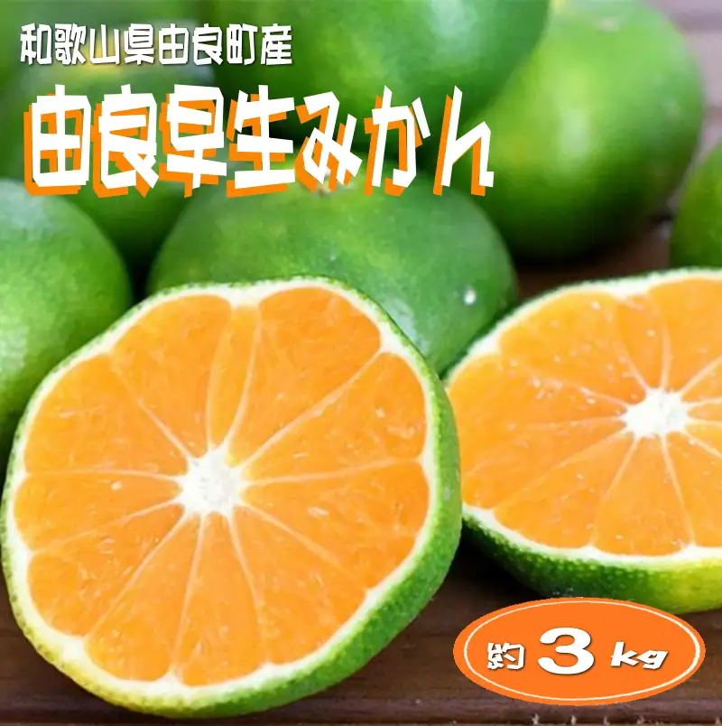 【先行予約】和歌山由良町産 由良早生みかん 約3kg 訳あり キズ 御家庭用 サイズ混合【sml126B】