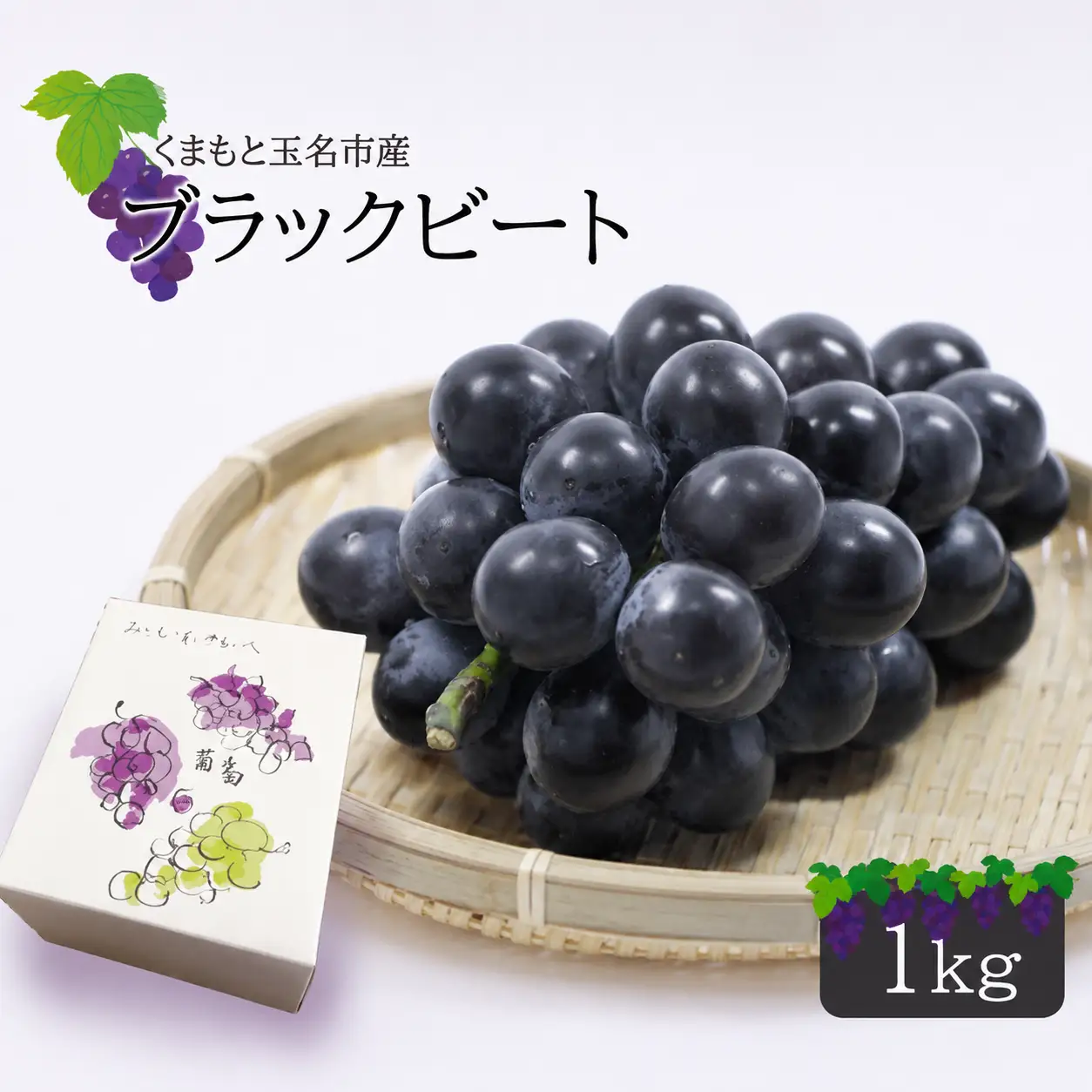 ブラックビート 1kg 《 東ぶどう園 》 | 果物 くだもの フルーツ ブドウ ぶどう 葡萄 熊本 玉名 10,780円