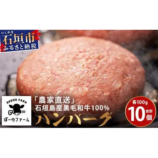 ＜先行予約＞石垣島黒毛和牛１００％ハンバーグ 100g×10個  BO-1