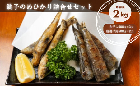 メヒカリ 銚子のメヒカリ詰合せ