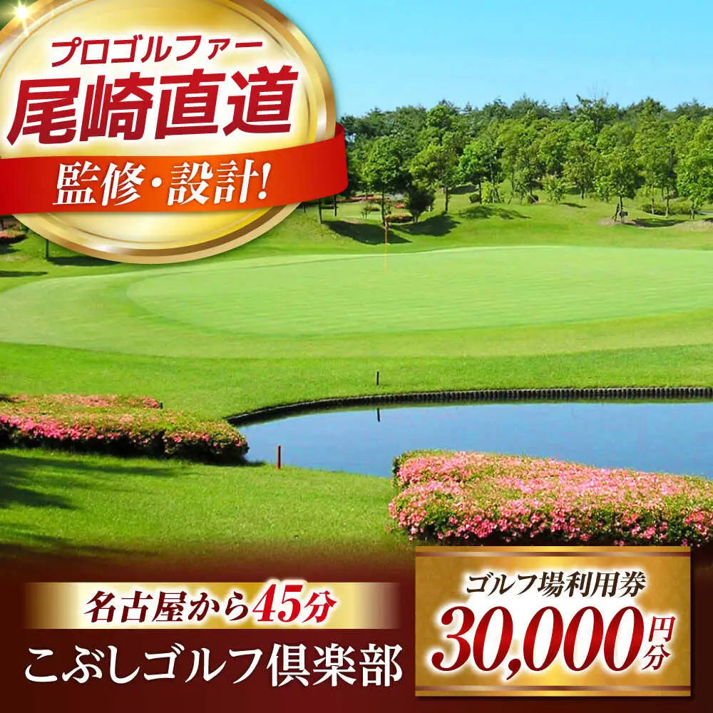 ゴルフ場 利用券 30,000円分 [AVAO006]岐阜 東海