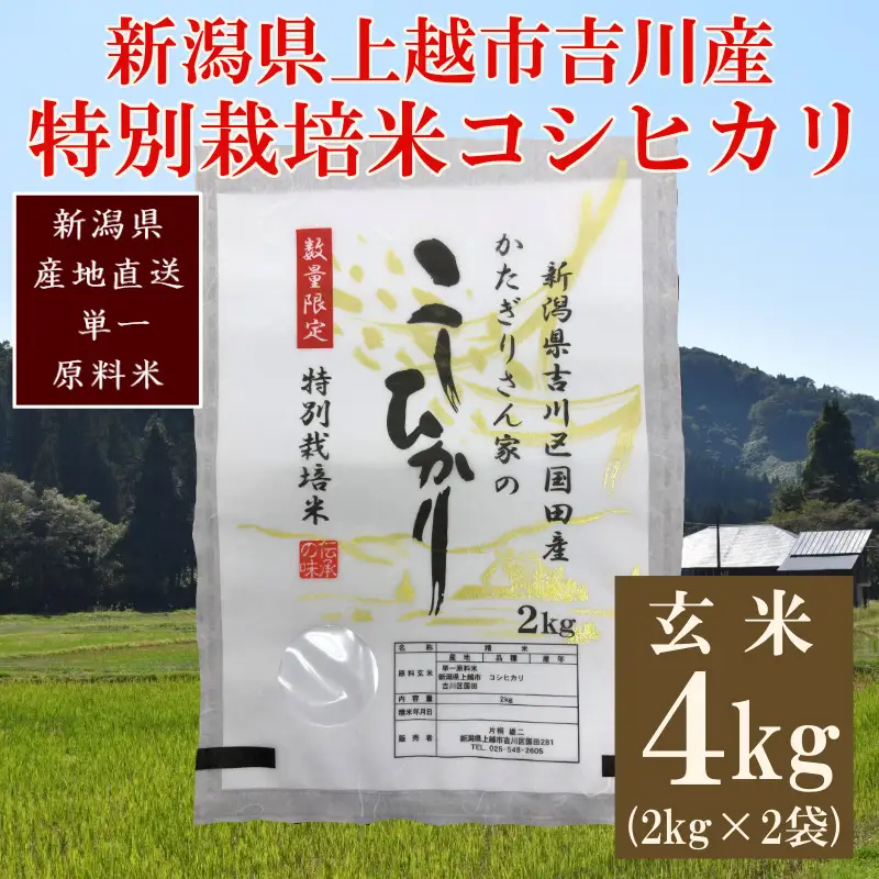 【250kg限定】特別栽培米 コシヒカリ 玄米 4kg 国田産 コシヒカリ