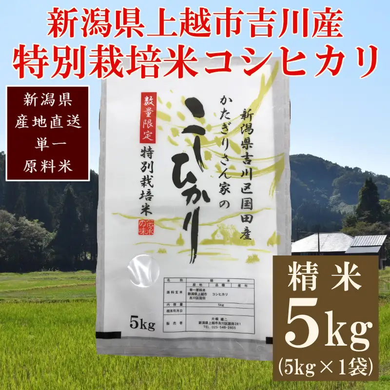 【250kg限定】特別栽培米 コシヒカリ 精米 5kg 国田産 コシヒカリ