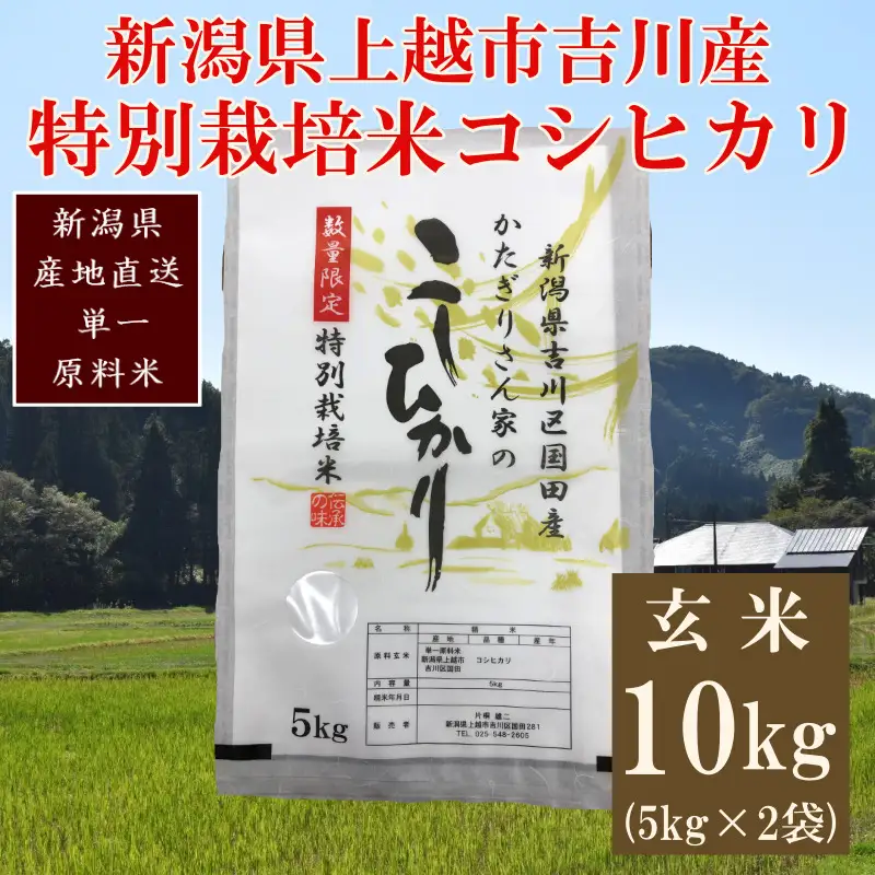 【250kg限定】特別栽培米 コシヒカリ 玄米 10kg 国田産 コシヒカリ