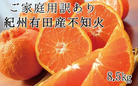 【ご家庭用】紀州有田産 不知火(しらぬひ) 約8.5kg※2027年2月中旬頃?3月中旬頃に順次発送予定(お届け日指定不可)/果物 フルーツ くだもの ミカン 不知火 デコポン【uot507A】