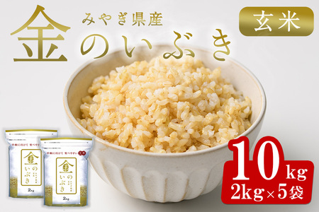 宮城県産 金のいぶき 10kg 玄米 お米 おこめ 米 コメ ご飯 ごはん おにぎり お弁当 ブランド米 宮城米【株式会社パールライス宮城】ta393