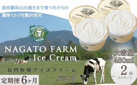 アイスクリーム 長門牧場 贅沢480ml バニラ アイスクリーム【480ml×2個】【定期便6ヵ月】