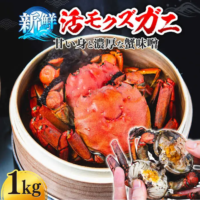 【先行予約】【2026年11月下旬以降順次発送】新鮮 活モクズガニ 1kg (5-12杯前後) オス メス セット 蟹 カニ カニ味噌 [ABCB005] 