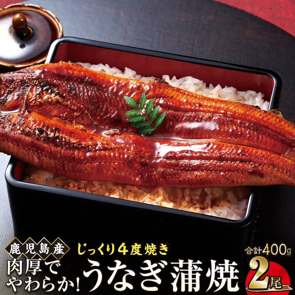 うなぎ 蒲焼 200g×2尾【鹿児島産】地下水で育てた絶品鰻｜国産 うなぎ 鰻 蒲焼 かばやき 魚 魚介 魚貝 海鮮 うな重 ひつまぶし ギフト 人気 おすすめ 土用丑の日 大崎町 大隅半島