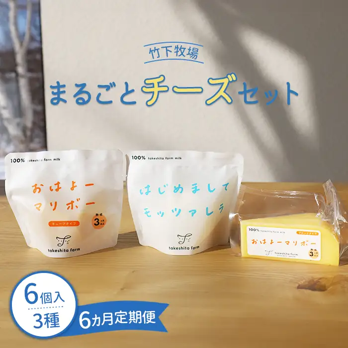 竹下牧場 takeshita farm【定期便６ヶ月】まるごとチーズセット 計560g【2400302】