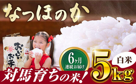 【全6回定期便】対馬産 なつほのか 5kg [WCQ002]白米 米 お米 ご飯 ごはん 5kg 5キロ 贈答用 定期便 