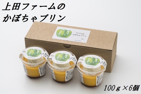 苫前町産かぼちゃ使用 上田ファームのかぼちゃプリン 100g×6個 濃厚 なめらか カラメルソース入り ぷりん カボチャ パンプキン スイーツ デザート 冷凍 ギフト 北海道 苫前町 とままえ ued05