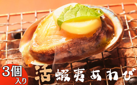 極上！紀州蝦夷鮑×3個　五つ星旅館にも出荷される極上アワビ＜日付指定OK＞【riz103】