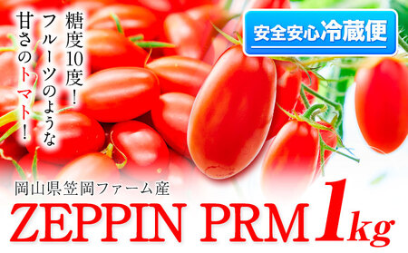 トマト ZEPPIN PRM1kg ミニトマト