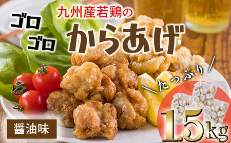 国産で安全・安心 冷めてもおいしい九州産若鶏の唐揚げ1.5kg(500g×3袋) TF0742-P00064