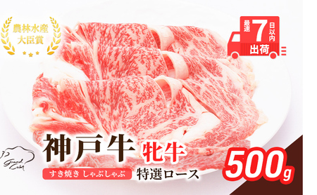 【最短7日以内発送】 神戸ビーフ 神戸牛 牝 特選ロース 500g 川岸畜産 すき焼き しゃぶしゃぶ 焼肉 冷凍 肉 牛肉 すぐ届く お肉 和牛 食材 グルメ ブランド牛 日本産 国産 夕飯 晩御飯 夜ごはん
