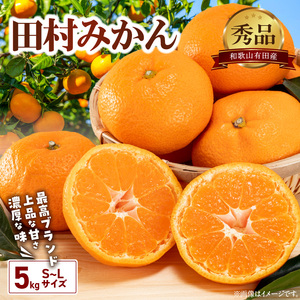 【2026年先行予約】有田の高級みかん【田村みかん】秀品！たっぷり 5kg ギフトにもオススメ (S～Lサイズおまかせ)_BD7004n 2026年11月発送