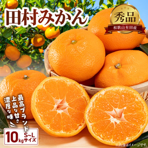 【2026年先行予約】有田の高級みかん【田村みかん】秀品！たっぷり 10kg ギフトにもオススメ (S～Lサイズおまかせ)_BD7005 2026年12月発送