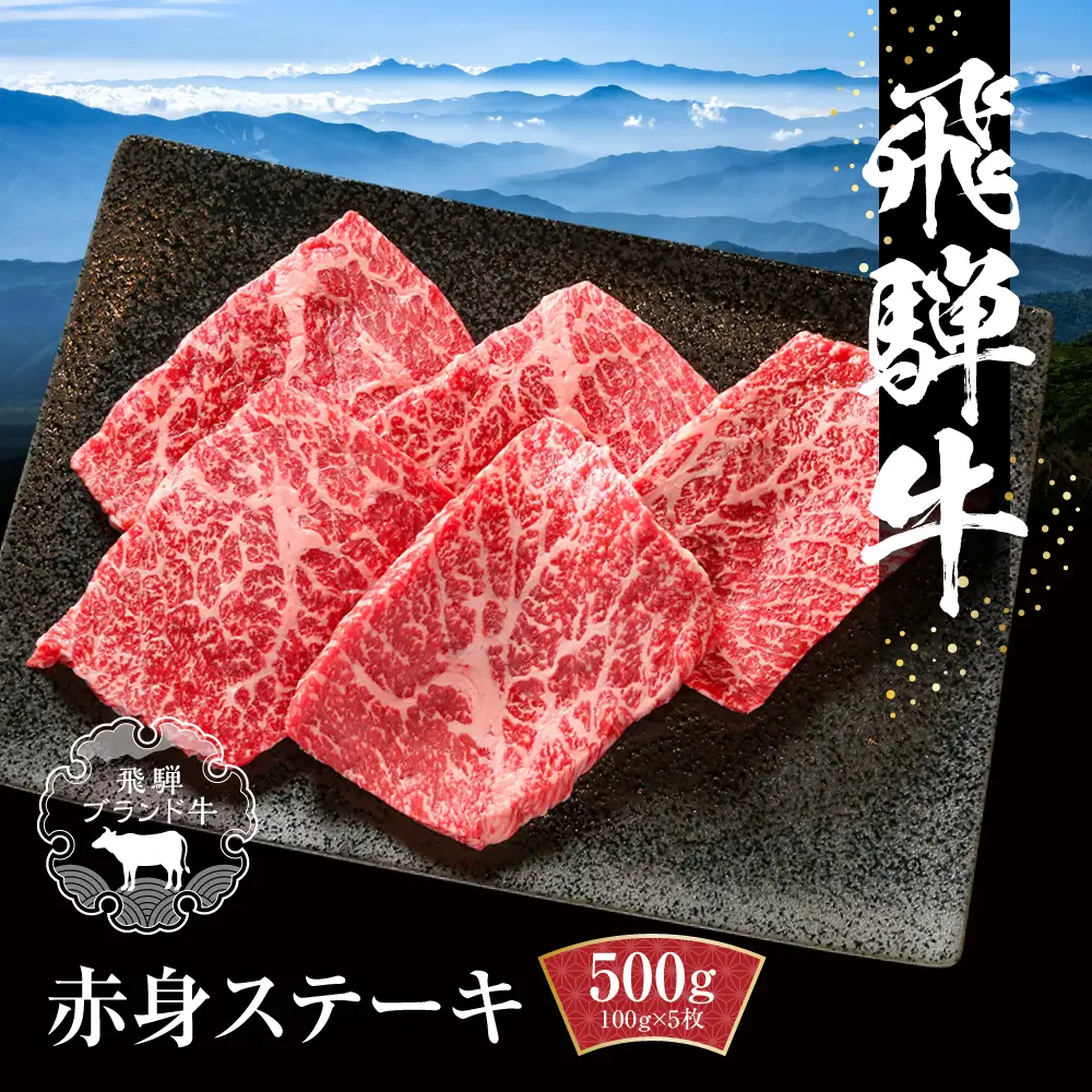 飛騨牛 赤身ステーキ 500g（100g×5） 赤身 黒毛和牛 MZ027