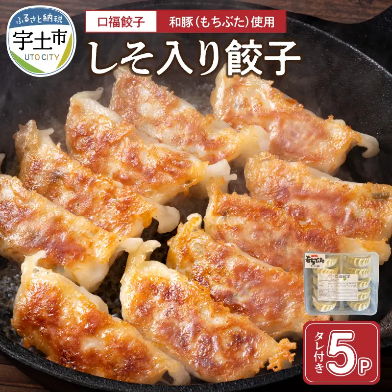 口福餃子「和（もち）豚」使用 しそ入り餃子（冷凍生） _U119-0002