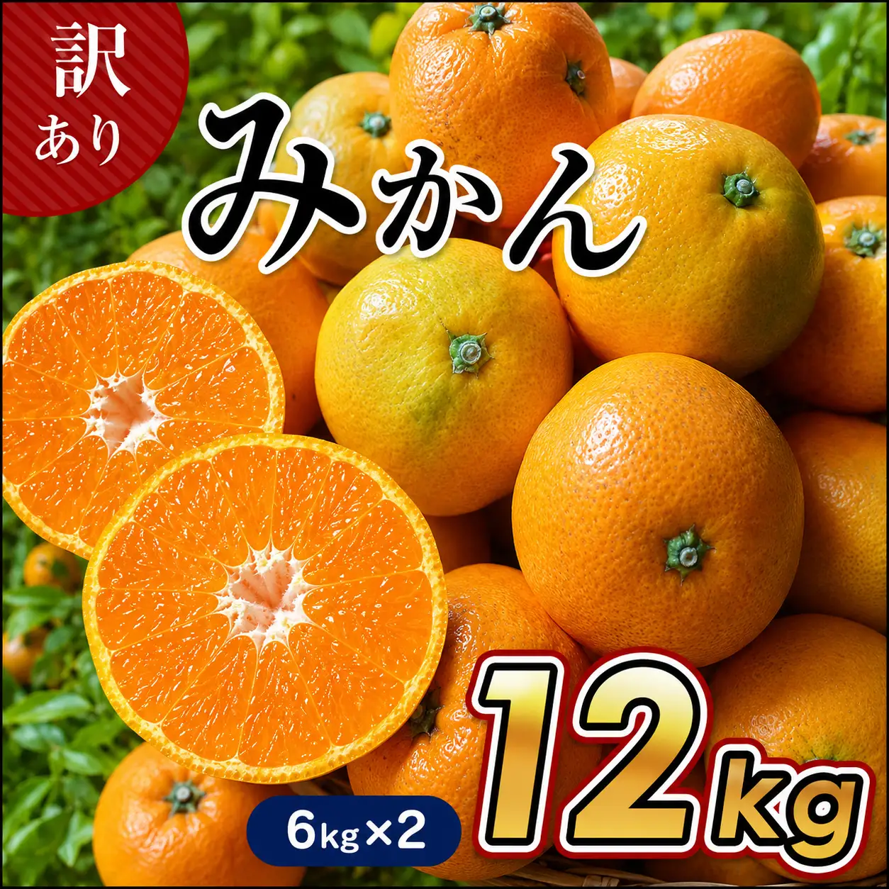 【 6キロ × 2箱 】 たまな産 温州みかん 12kg | 果物 くだもの フルーツ 柑橘類 柑橘 みかん ミカン 蜜柑 熊本 玉名