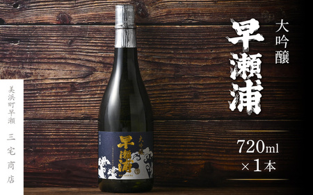 【お中元】 入手困難【早瀬浦】大吟醸 720ml × 1本【日本酒 地酒 福井 美浜 早瀬 フルーティ 男酒 硬水 ミネラル 希少 ご褒美 家飲み 就職祝い 転職祝い ハレの日】 [m16-b027]