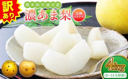 先行予約 訳あり 梨 なし 濃あま梨 約4kg 品種おまかせ 2026年8月中旬から9月下旬発送予定