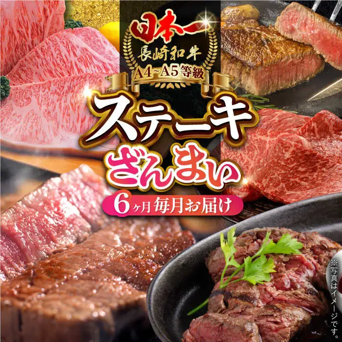 【全6回定期便】 長崎和牛 ステーキざんまいコース 総計2.5kg / モモ リブロース イチボ サーロイン ランプ ヒレ / 肉 牛肉 ステーキ 焼肉 / 波佐見町 / 野中精肉店 [VF81] 九州 九州産