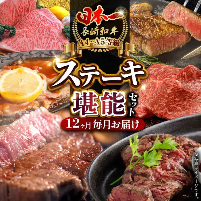 【全12回定期便】 長崎和牛 ステーキ堪能コース 総計11.7kg / モモ リブロース イチボ サーロイン ランプ ヒレ レモンステーキ / 肉 牛肉 焼肉 / 波佐見町 / 野中精肉店 [VF83]