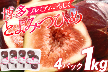 【ふるなび限定】博多とよみつひめ 1,000g（４パック）【2026年8月～10月に発送予定】 CD23f FN-Limited-PR