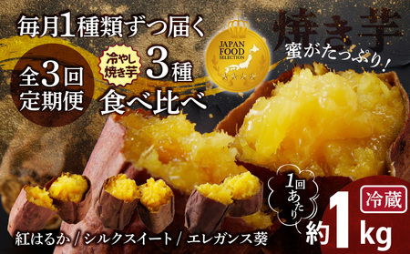 【ジャパンフードセレクション 金賞】（全3回）毎月1種類ずつ届く 冷やし焼き芋定期便 約1kg×3回（計3種） 芋スイーツ H047-050